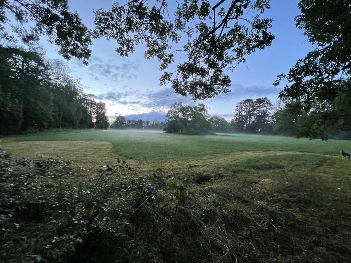 Chateau Du Grand Lucay Bourbon-lʼArchambault Buitenkant foto